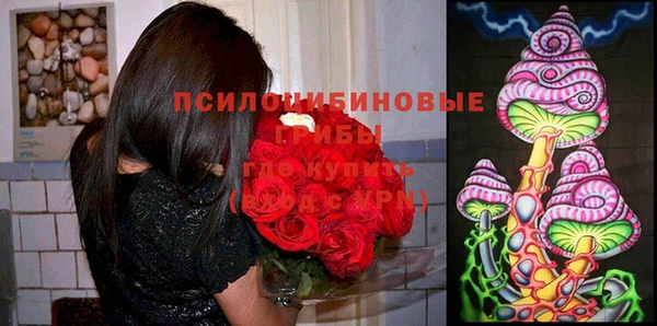 мескалин Шадринск