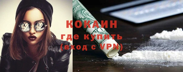винт Шали