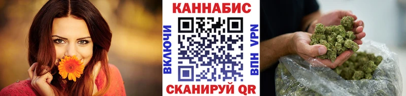 Бошки Шишки SATIVA & INDICA  Купить закладки  Мегион 